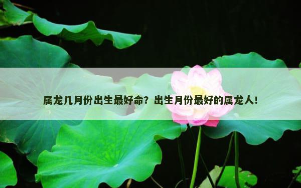 属龙几月份出生最好命？出生月份最好的属龙人！