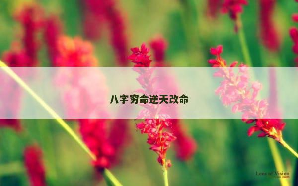 八字穷命逆天改命