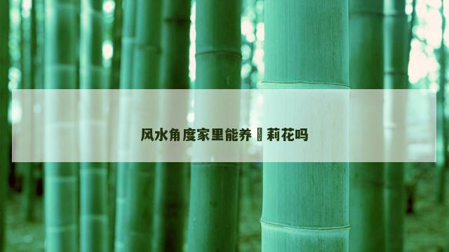 风水角度家里能养苿莉花吗
