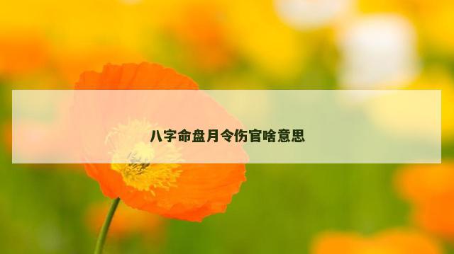 八字命盘月令伤官啥意思