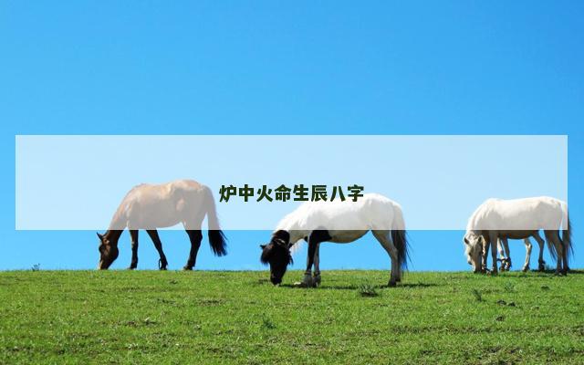 炉中火命生辰八字