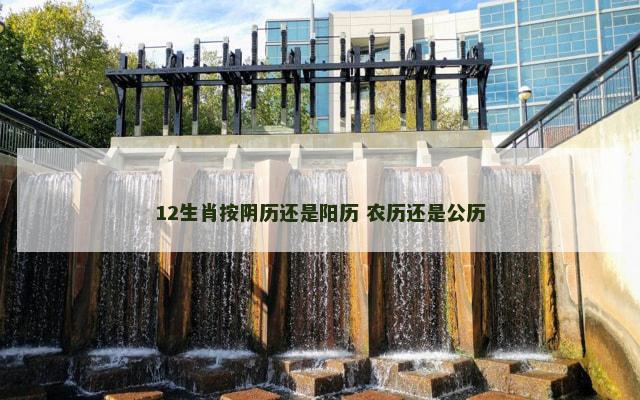 12生肖按阴历还是阳历 农历还是公历