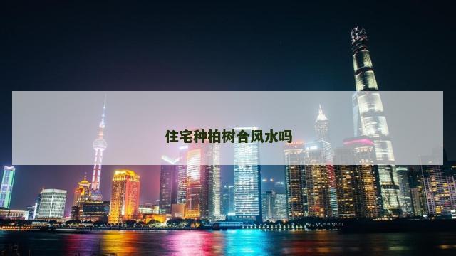 住宅种柏树合风水吗