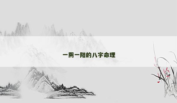 一阴一阳的八字命理