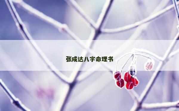 张成达八字命理书