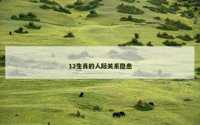 12生肖的人际关系隐患