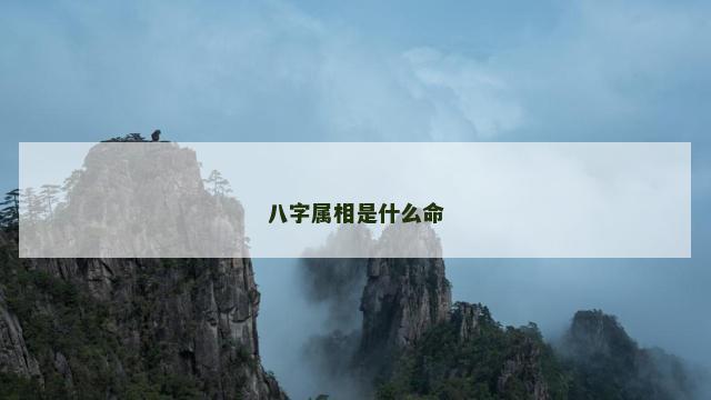 八字属相是什么命