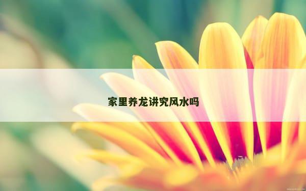 家里养龙讲究风水吗