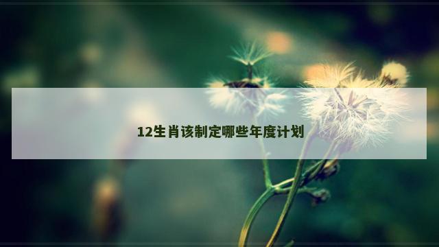 12生肖该制定哪些年度计划