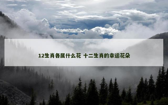 12生肖各属什么花 十二生肖的幸运花朵