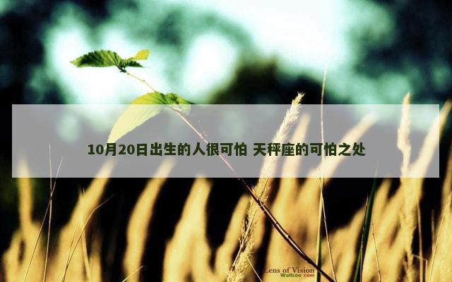 10月20日出生的人很可怕 天秤座的可怕之处