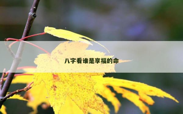 八字看谁是享福的命