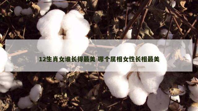12生肖女谁长得最美 哪个属相女性长相最美