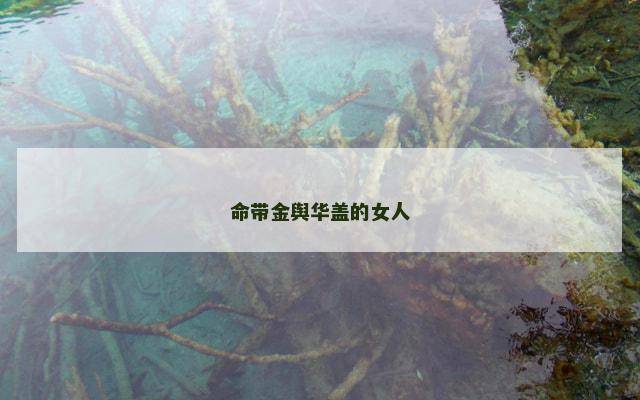 命带金舆华盖的女人