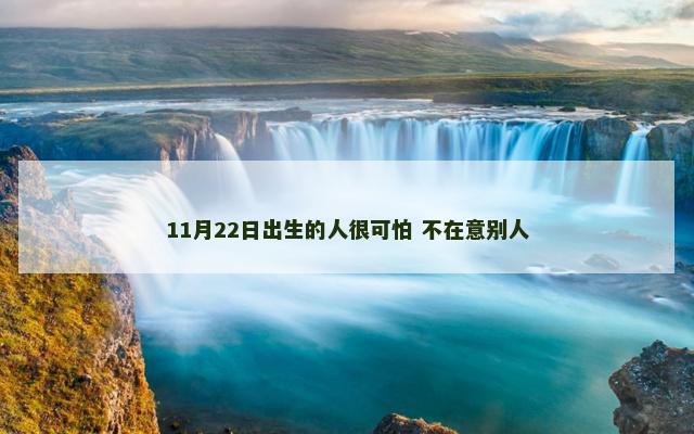 11月22日出生的人很可怕 不在意别人
