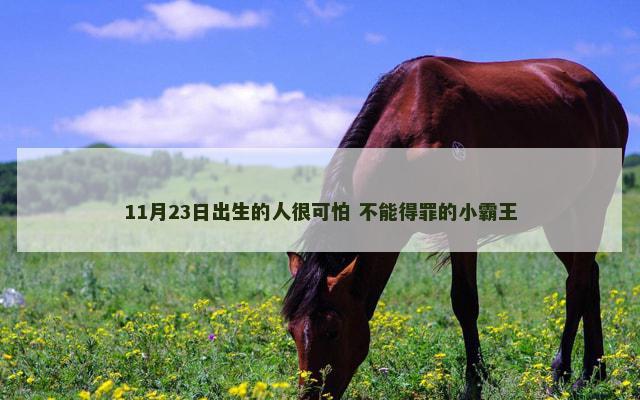 11月23日出生的人很可怕 不能得罪的小霸王