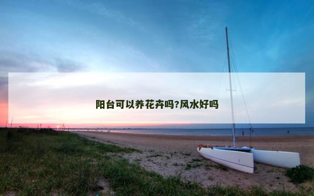 阳台可以养花卉吗?风水好吗