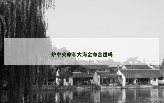 炉中火命和大海金命合适吗
