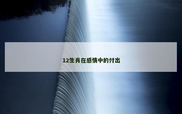 12生肖在感情中的付出
