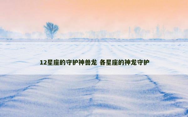 12星座的守护神兽龙 各星座的神龙守护