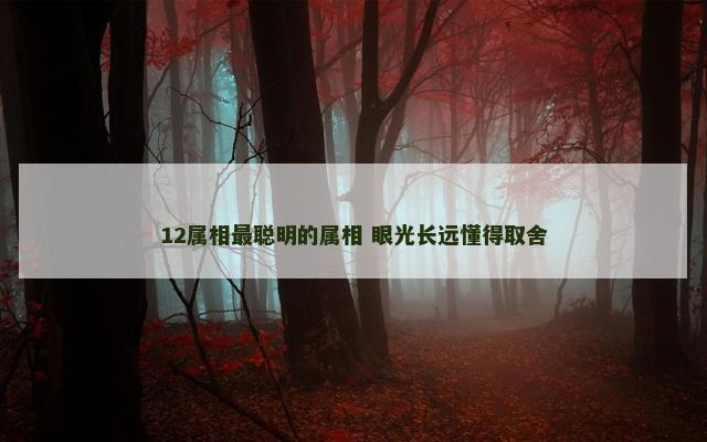 12属相最聪明的属相 眼光长远懂得取舍