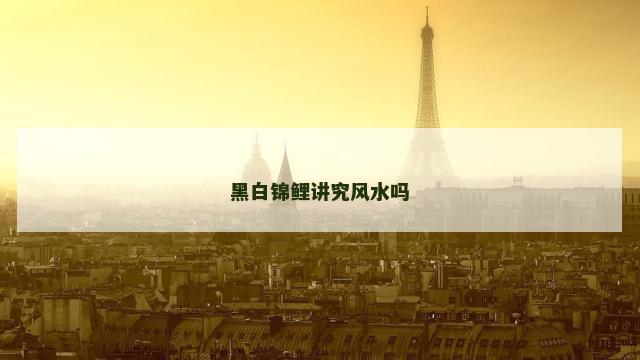 黑白锦鲤讲究风水吗