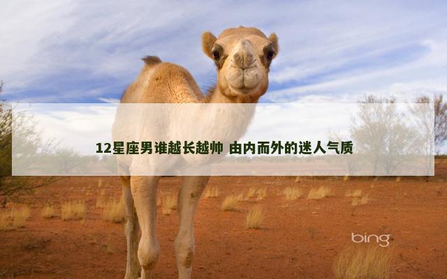 12星座男谁越长越帅 由内而外的迷人气质