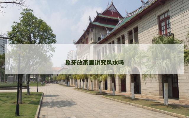象牙放家里讲究风水吗