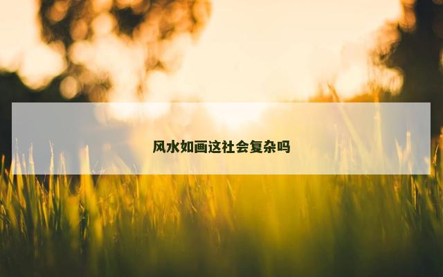 风水如画这社会复杂吗