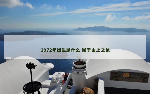 1972年出生属什么 属于山上之鼠