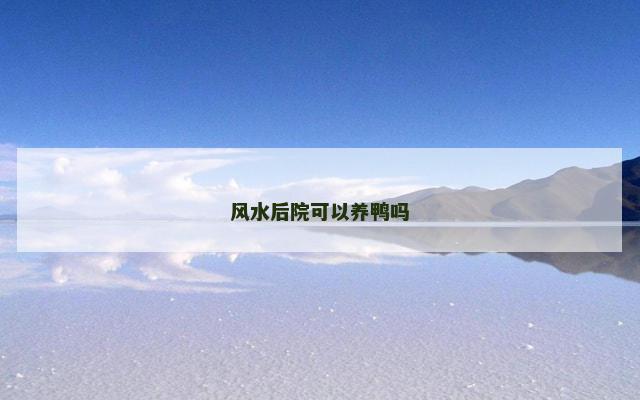 风水后院可以养鸭吗