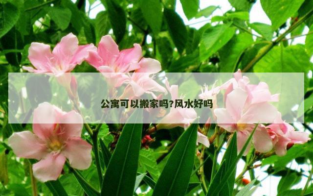 公寓可以搬家吗?风水好吗