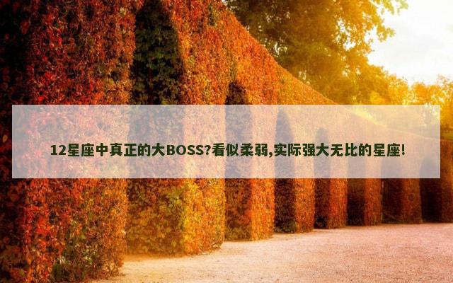 12星座中真正的大BOSS?看似柔弱,实际强大无比的星座!