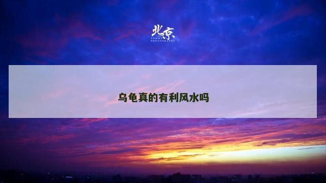 乌龟真的有利风水吗
