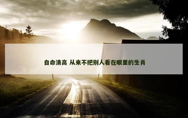 自命清高 从来不把别人看在眼里的生肖
