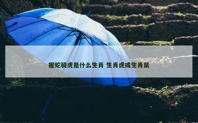 握蛇骑虎是什么生肖 生肖虎或生肖鼠