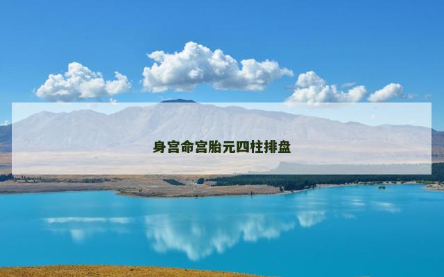身宫命宫胎元四柱排盘