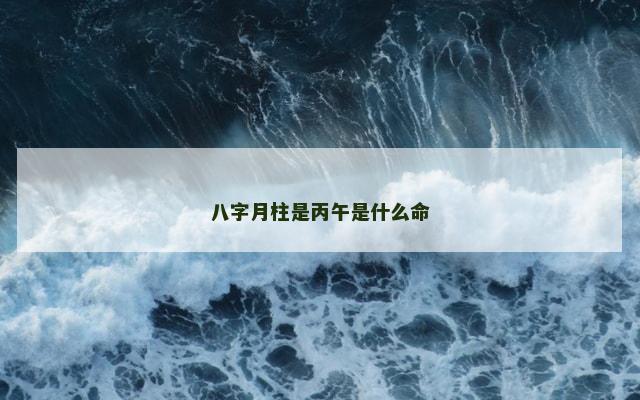 八字月柱是丙午是什么命