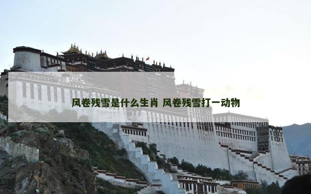 风卷残雪是什么生肖 风卷残雪打一动物