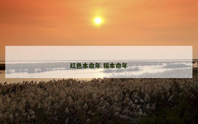 红色本命年 福本命年