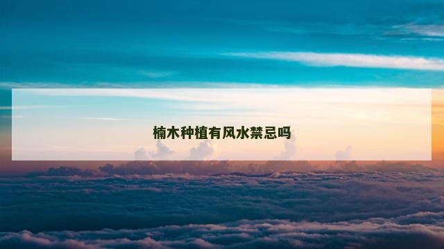 楠木种植有风水禁忌吗