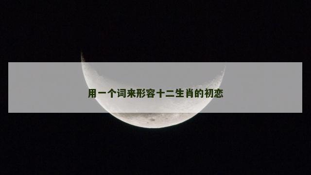 用一个词来形容十二生肖的初恋