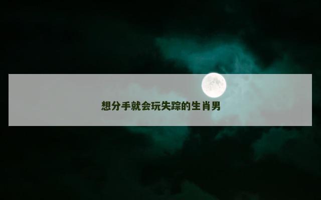 想分手就会玩失踪的生肖男