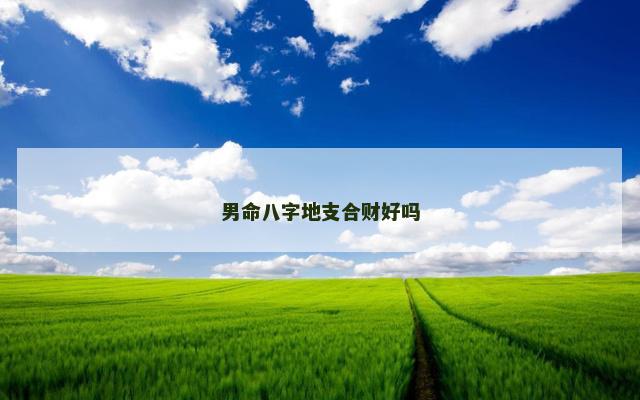 男命八字地支合财好吗