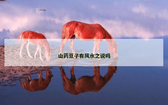 山药豆子有风水之说吗