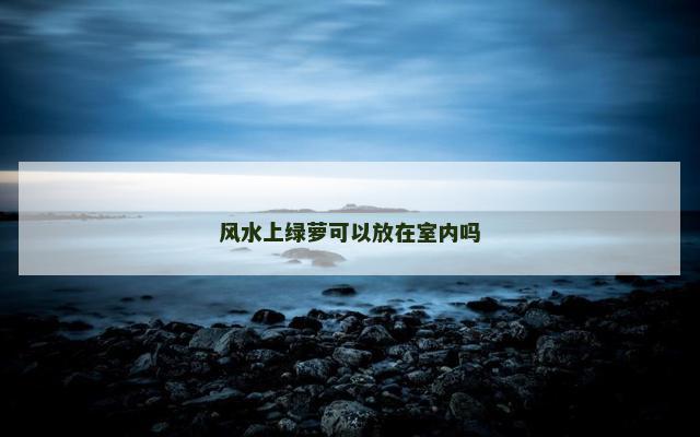 风水上绿萝可以放在室内吗