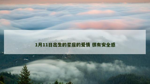 1月11日出生的星座的爱情 很有安全感