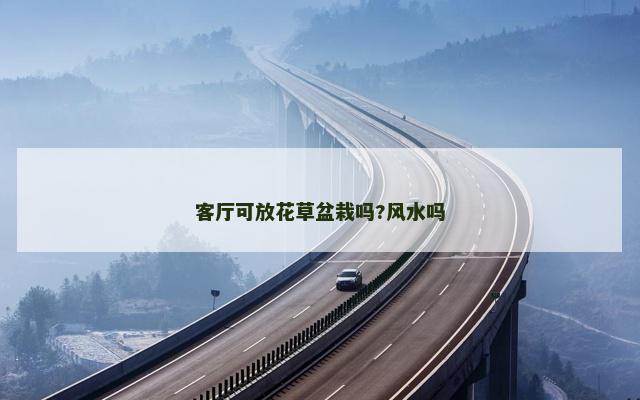 客厅可放花草盆栽吗?风水吗