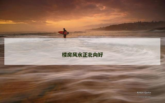 楼房风水正北向好