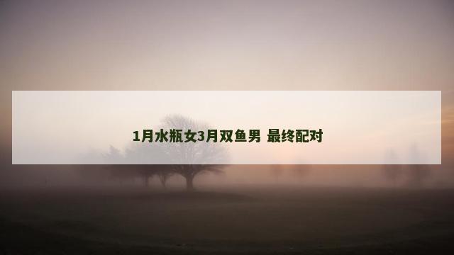 1月水瓶女3月双鱼男 最终配对